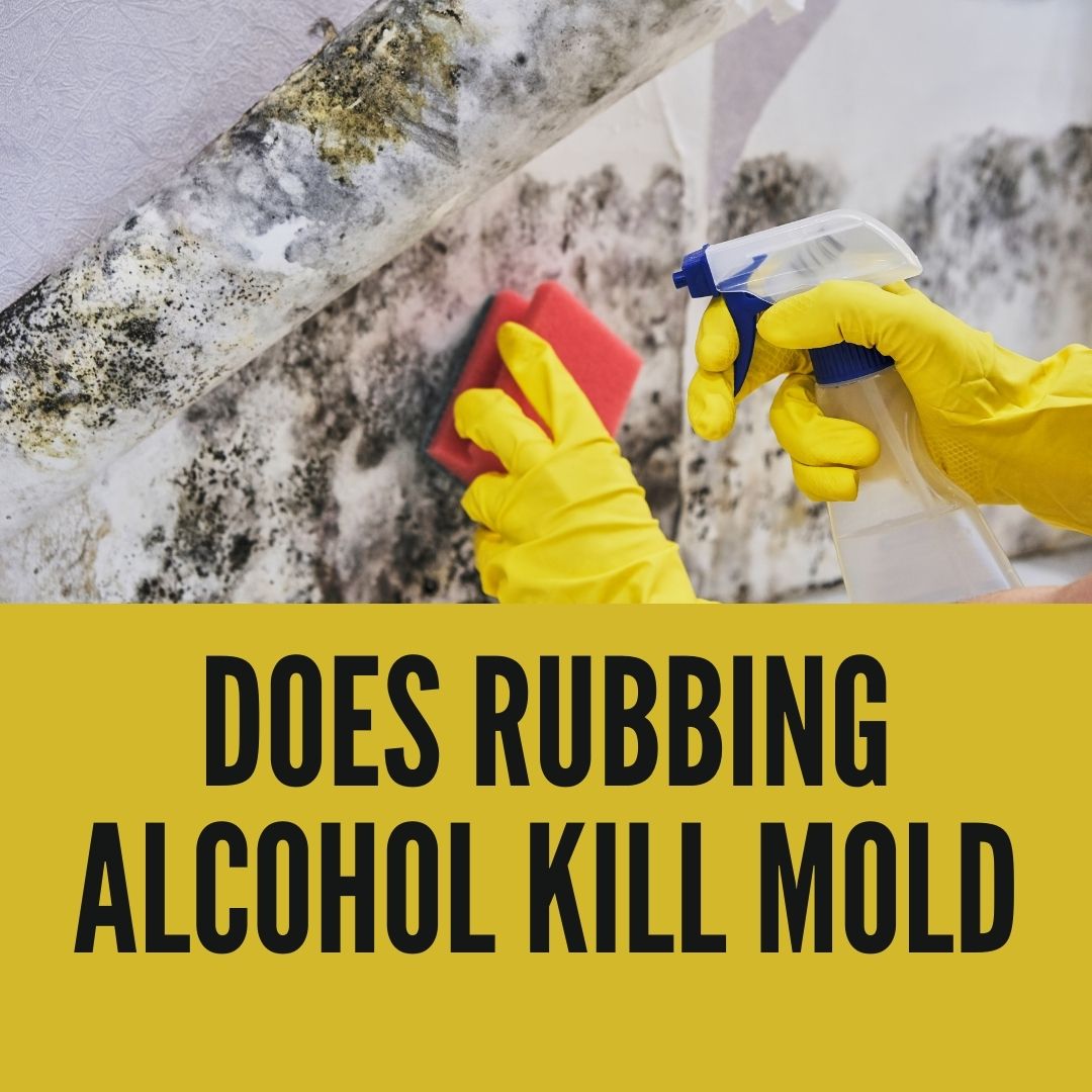 Does Rubbing Alcohol Kill Fungal Spores