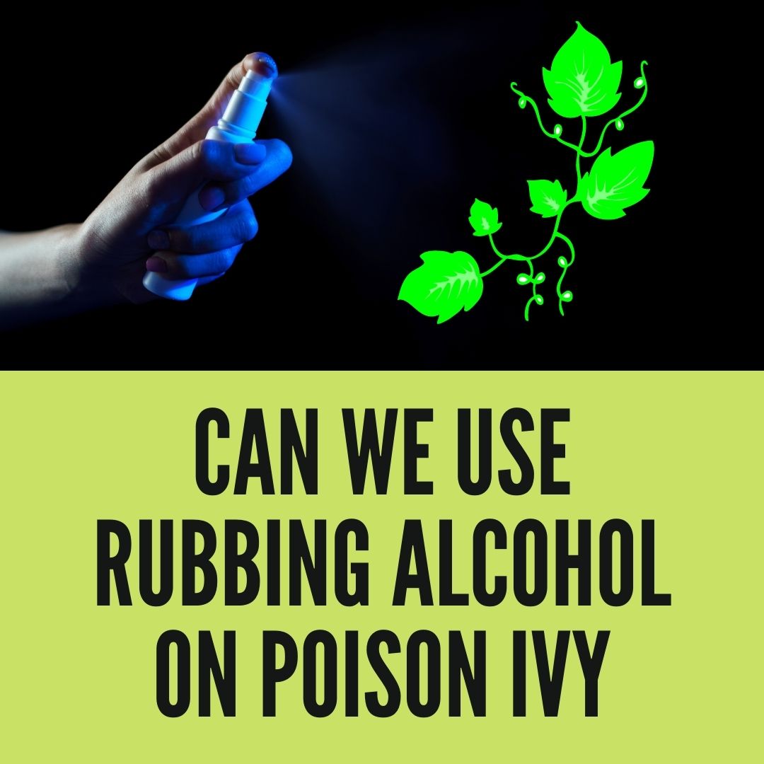 does-rubbing-alcohol-kill-poison-ivy